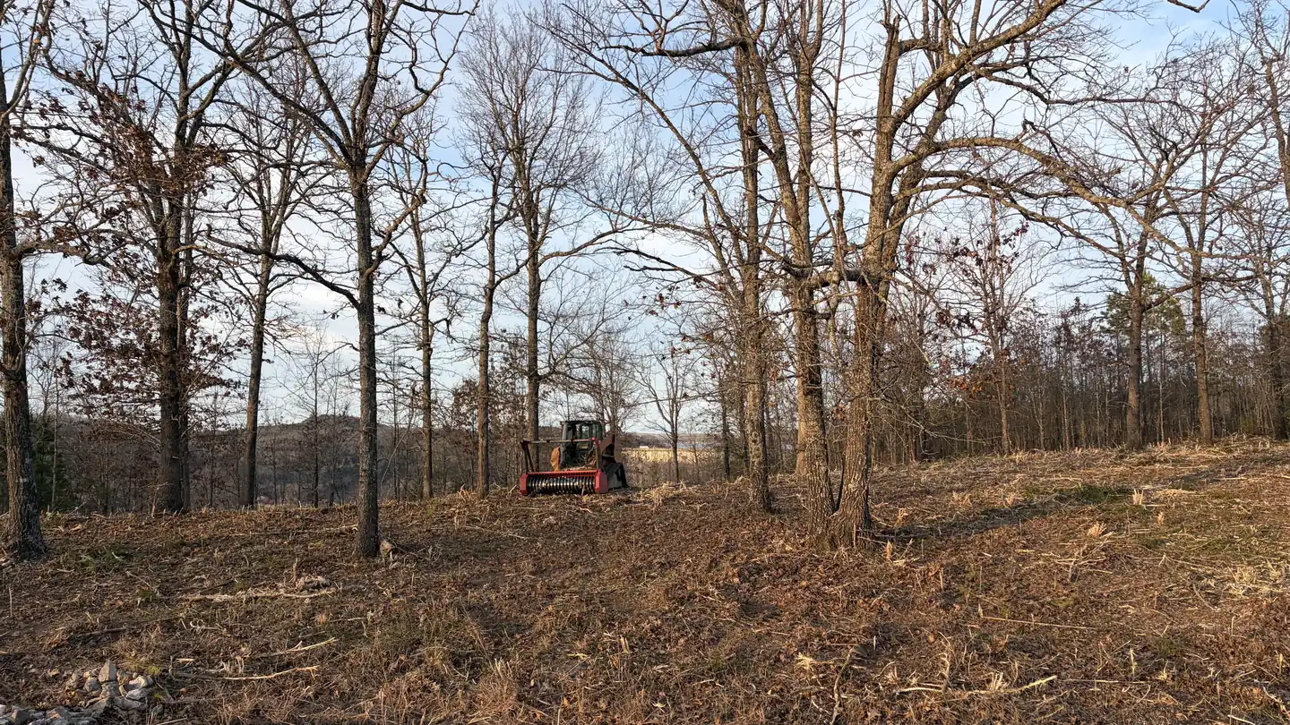 Freshly mulched and cleared lot with bare hardwoods and a compact track loader working at the treeline in Northeast Arkansas